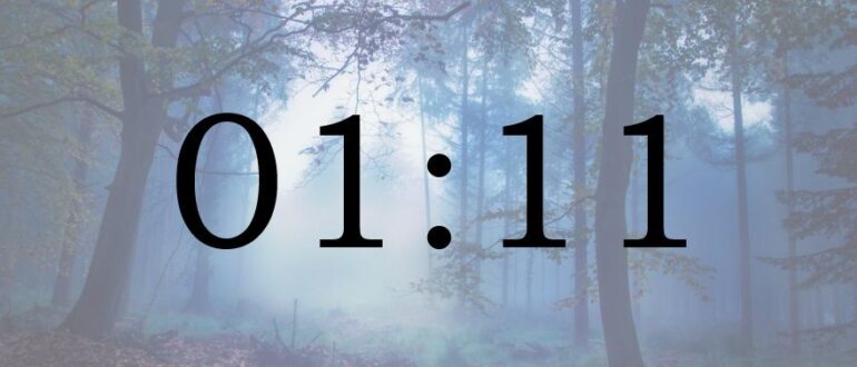 1-16-2021780